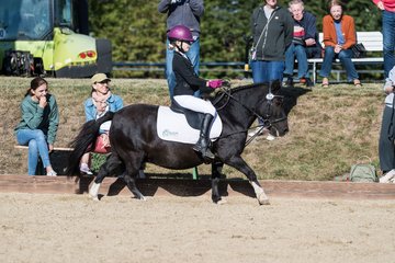 Bild 70 - Pony Akademie Turnier